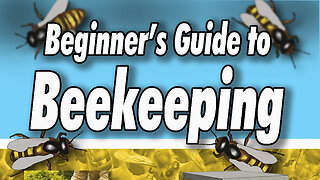 Beginner's Guide to Beekeeping