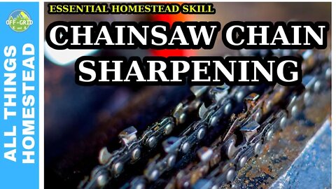 SHARPENING CHAINSAW CHAIN // ESSENTIAL Homesteading Skills for NEW Homesteaders