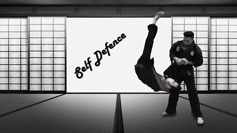 Aikido: Random Techniques