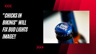 What Tudor Dixon Thinks Bud Light is Missing - The Answer Will Surprise You!