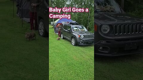 Webb's Great Adventure Tent Camping with Baby Girl # Snyders Family Campground in PA.
