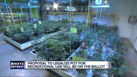 Voters will decide on recreational marijuana legalization in November