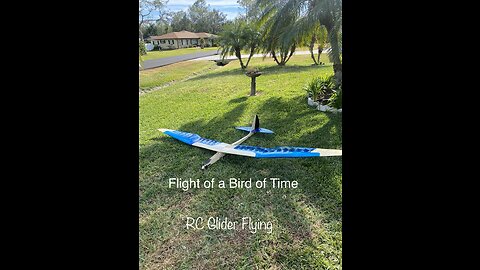 Morning Flight of “Bird of Time”