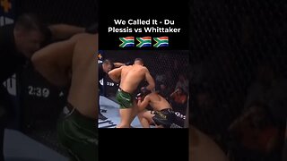 Dricus Du Plessis vs Robert Whittaker | TKO Round 2 at UFC 290 #short #mma # ufc #ufc290 #ko #tko