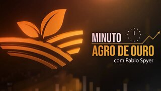 Grãos caem por receios com demanda, café fraco, preço do boi e La Niña | MINUTO AGRO DE OURO