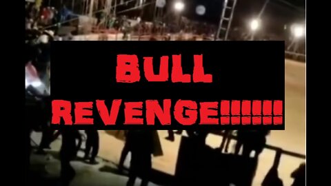 BULL REVENGE