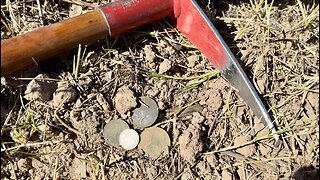 Coins Spills On The Field Metal Detecting