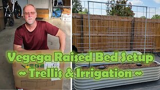 Vegega Raised Beds: Trellis & Irrigation