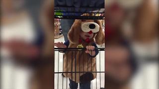 "Toddler Boy in Halloween Dog Costume Goes Shopping"