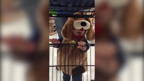 "Toddler Boy in Halloween Dog Costume Goes Shopping"