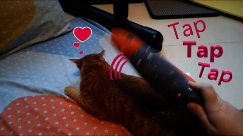 Cat love tap tap