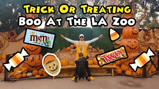 Trick Or Treating Boo At The LA Zoo