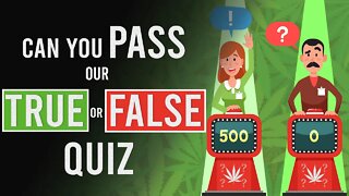 True or False! Can You Pass the Test?