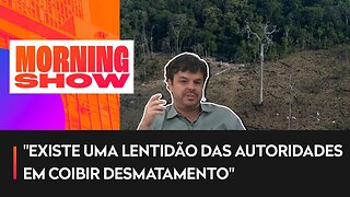 Desmatamento na Amazônia em 1 ano é o maior desde 2006