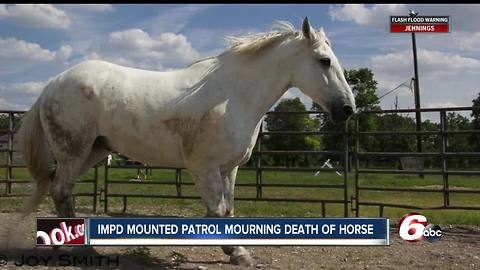 IMPD Mounted Patrol mourns loss of horse Colonel