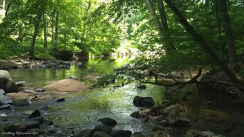 Relaxing Gentle River - Stream Sounds - Nature