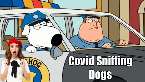 Massachusetts Sends out The Covid Sniffing🐕‍🦺 Hounds