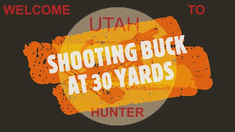 SHOOTING AT BUCK 30 YARDS