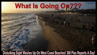 Disturbing Sight Washes Up On West Coast Beaches! 300 Plus Reports A Day!