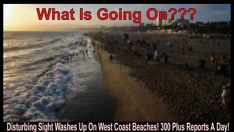 Disturbing Sight Washes Up On West Coast Beaches! 300 Plus Reports A Day!