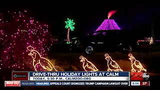 Drive-Thru Holiday lights at the CALM