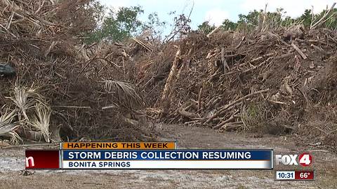 Storm Debris Collection Resuming