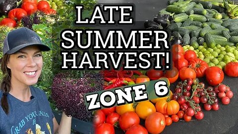 Late summer harvest & Preserving the harvest