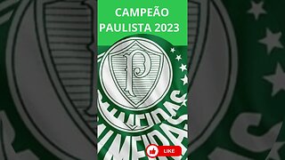 CAMPEÃO PAULISTA 2023 PALMEIRAS MENINO ENDRICK LOPES