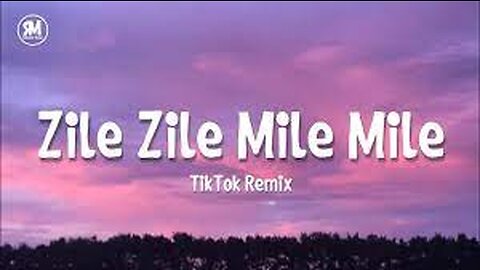 zile zile song,zile zile mile mile,zile zile song remix,zile zile mile mile remix,zile zile