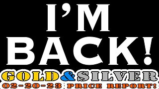 I'm Back! 02/20/23 Gold & Silver Price Report #silver #gold #silverprice #lauderdalebythesea