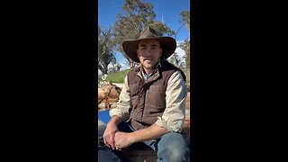 Meet farmer Dan, your cattle farmer