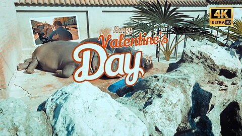 After Effects Template - Hippo Valentine's Day