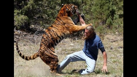 Craziest Animal Attacks King Lion vs Buffalo Crocodile Leopard Wild