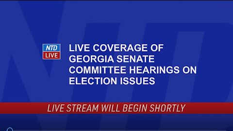 LIVE_ Georgia Senate Committees Hold Hearings on Elections Processes (Dec. 3)