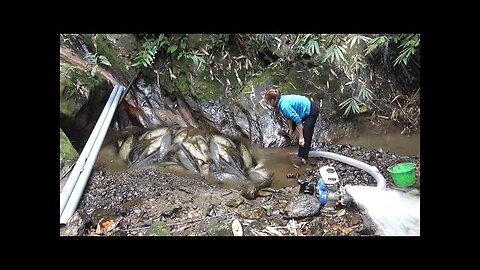 Wild Fishing Exciting | Super tech fishing - Stream fishing techniques | Super fishing technique