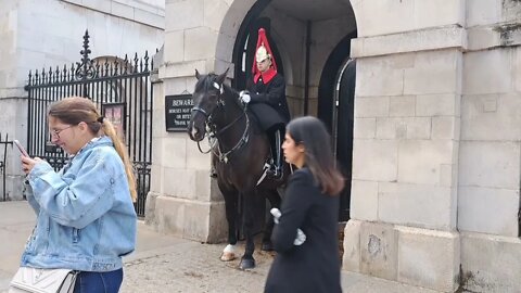 Blues and royal in winter coats 26 September 2022 #horseguardsparade