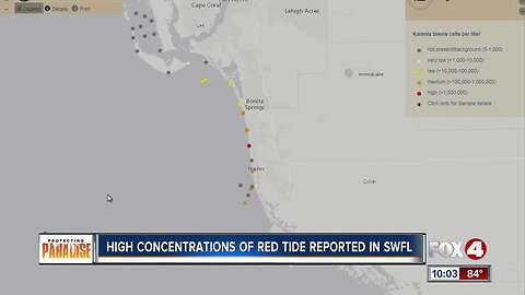 High concentrations of red tide reported in SWFL