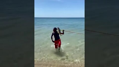 Aboriginal spears a fish with insane accuracy