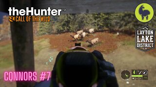The Hunter: Call of the Wild, Connors #7 Layton Lakes