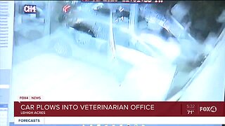 Car slams into Lehigh Acres veterinarian hospital