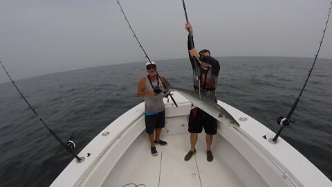 Kingfishing off of Jacksonville Florida