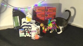 Little Cat Discovers His Christmas Presents