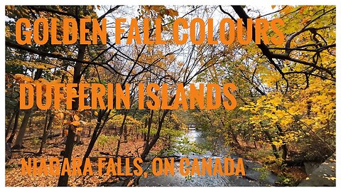 A Rainy Fall Morning Walk | Dufferin Islands | Classical Guitar Music| Niagara Falls, ON 🇨🇦