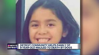 Detroit community helps family of 9-year-old mauled to death by dogs