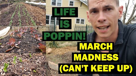 Garden Update : EVERYTHING IS HAPPENING At Once | Review on All Spring Projects