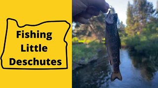 Fishing Little Deschutes