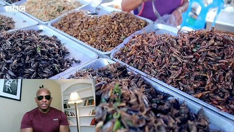 Environmentalist Wants You Eating Bugs, Worms, Beetleburgers, And Rats