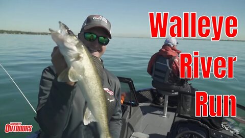 Spring Walleye Run on the Detroit River