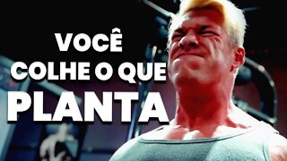 A LEI DA SEMEADURA NÃO FALHA - Motivação Bodybuilding 2022