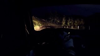 DiRT Rally 2 - RallyHOLiC 11 - New Zealand Event - Stage 5